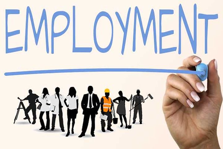 Bihar Government Job Bihar Government Job