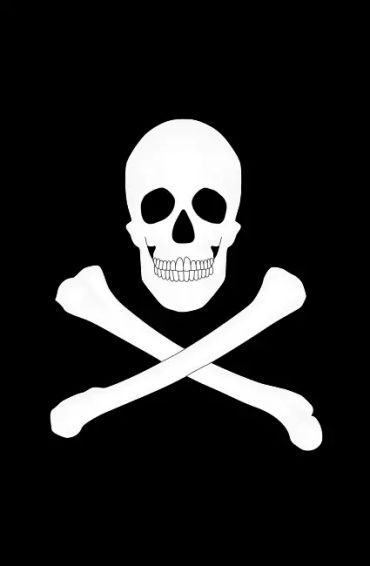 Jolly Roger, red flag, flags,  Joli Rogue, theorists, French