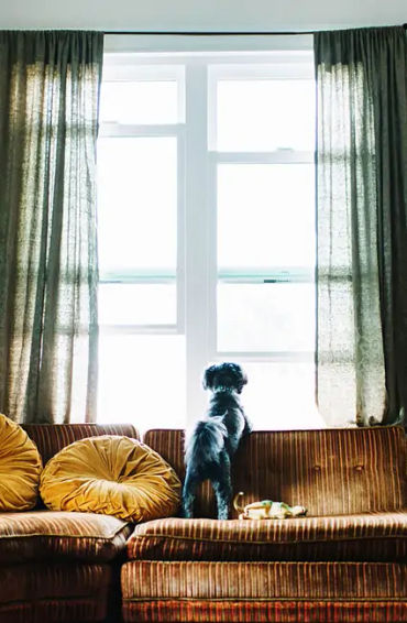 curtains, drapes, wealth, Valance, opaque panels, Tiebacks