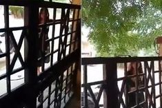 video of abusive woman in kanpur went viral had a dispute with neighbor