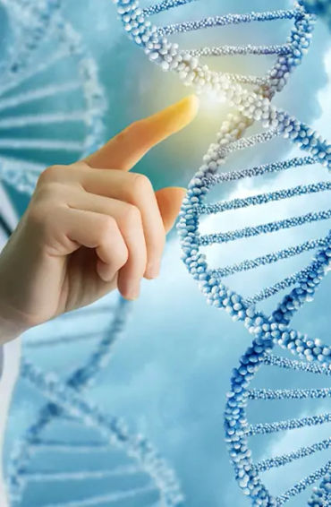 law of attraction, manifestation, secret, universe, spirituality, energy, plato, greek