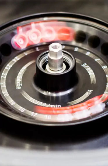 milk, substitute, plant milk, vegan, soya milk, coconut milk, almond milk