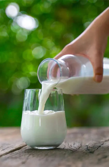 milk, substitute, plant milk, vegan, soya milk, coconut milk, almond milk