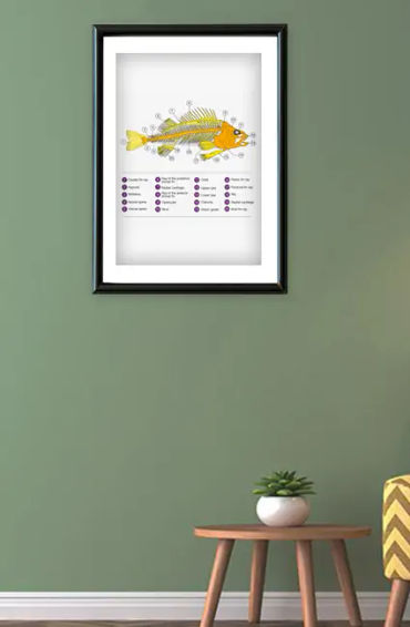 Fish, humans, nostrils, organs, water, smell