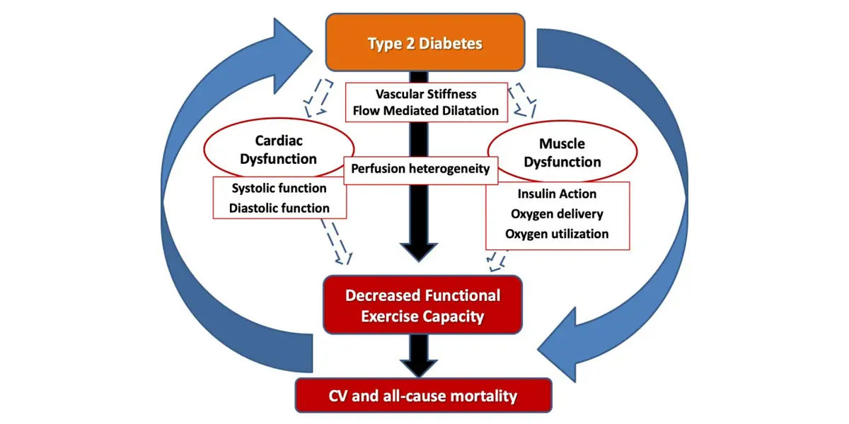 type 2 diabetes, insulin, resistance, American Diabetes Association, strenuous exercise, weight red