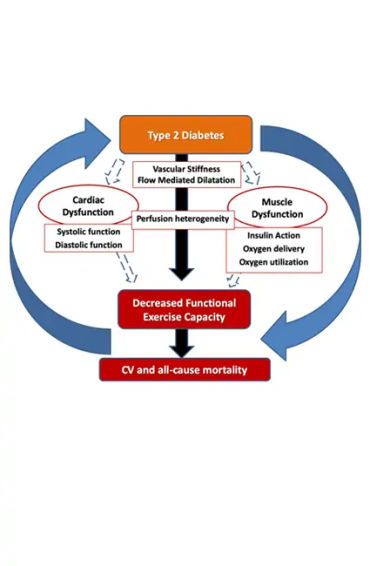 type 2 diabetes,  insulin, resistance, American Diabetes Association, strenuous exercise, weight red