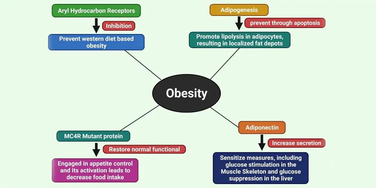 type 2 diabetes, insulin, resistance, American Diabetes Association, strenuous exercise, weight red