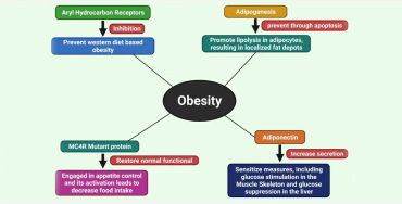type 2 diabetes,  insulin, resistance, American Diabetes Association, strenuous exercise, weight red