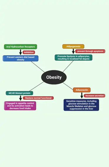 type 2 diabetes,  insulin, resistance, American Diabetes Association, strenuous exercise, weight red