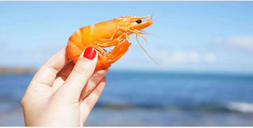 fish, humans, nostrils, organs, water, smell