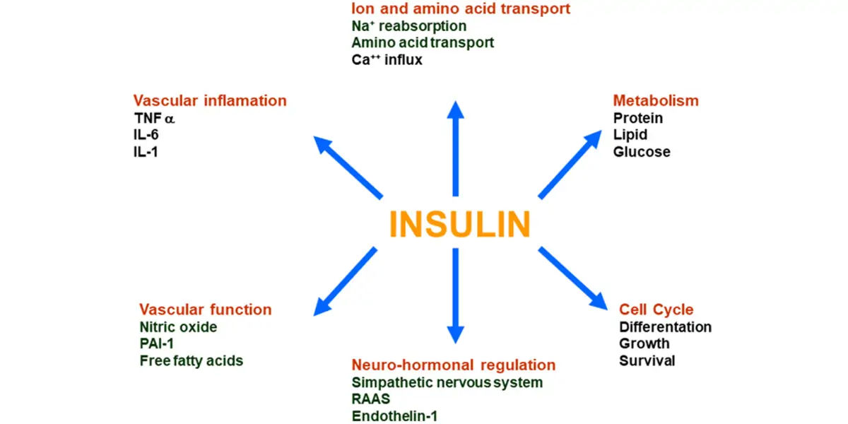 type 2 diabetes,  insulin, resistance, American Diabetes Association, strenuous exercise, weight red