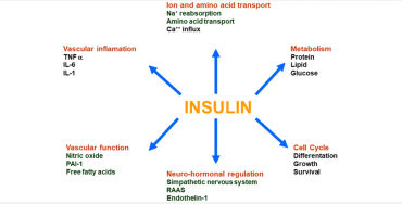 type 2 diabetes,  insulin, resistance, American Diabetes Association, strenuous exercise, weight red