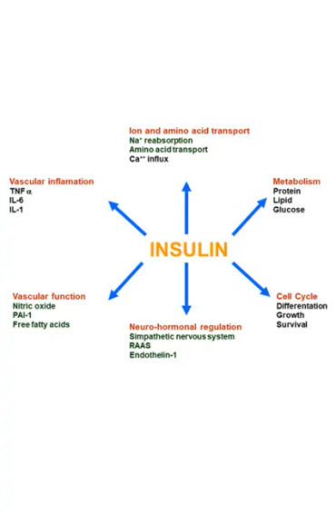 type 2 diabetes,  insulin, resistance, American Diabetes Association, strenuous exercise, weight red