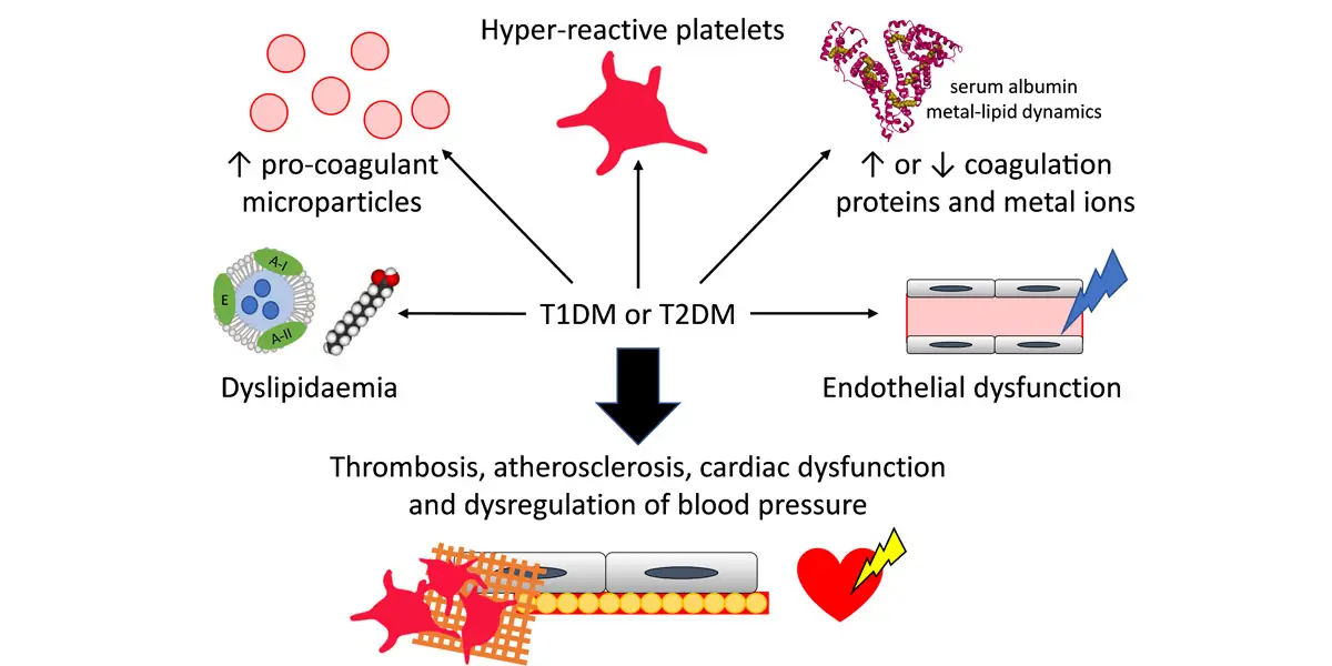 type 2 diabetes,  insulin, resistance, American Diabetes Association, strenuous exercise, weight red