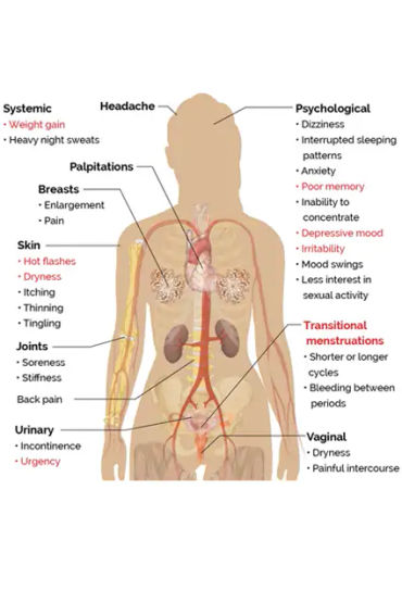 women, Unpaid, employment, India, labor, authority, freedom, financial resources