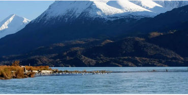Minnesota, Alaska, Lake Iliamna, United States, marine animals