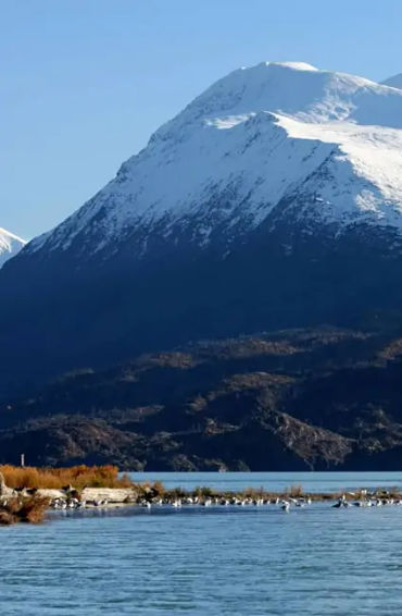Minnesota, Alaska, Lake Iliamna, United States, marine animals