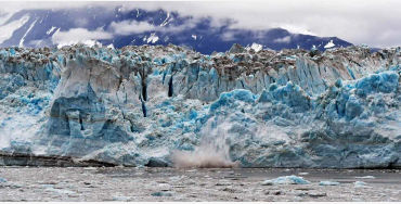 Minnesota, Alaska, Lake Iliamna, United States, marine animals