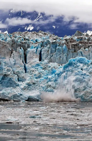 Minnesota, Alaska, Lake Iliamna, United States, marine animals