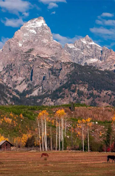Wyoming,  William Bradford Ross, Nellie Tayloe Ross,  female governor