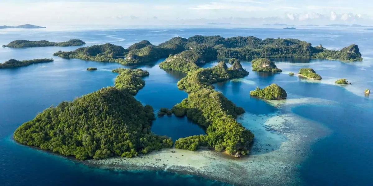 bali, amazon, seas, corals, sealife, biodiversity