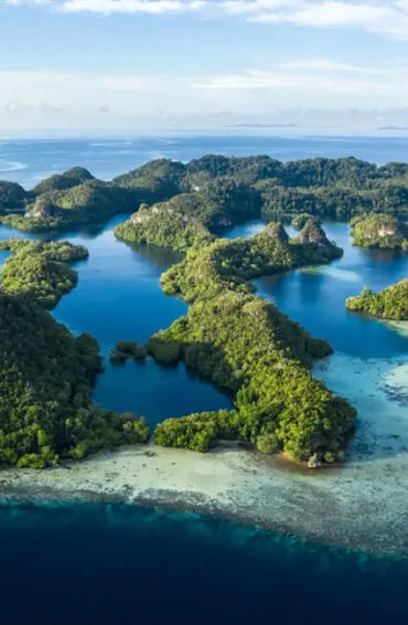 bali, amazon, seas, corals, sealife, biodiversity