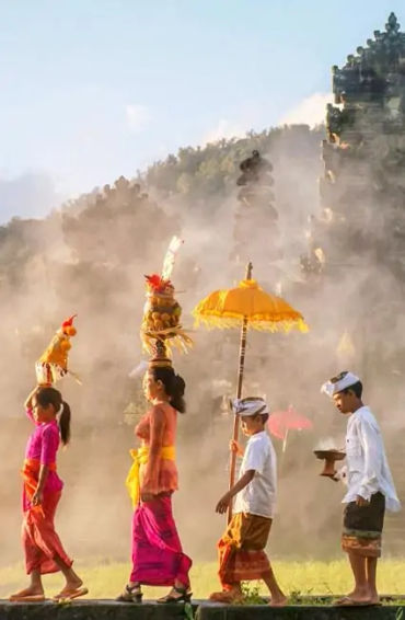 bali, amazon, seas, corals, sealife, biodiversity