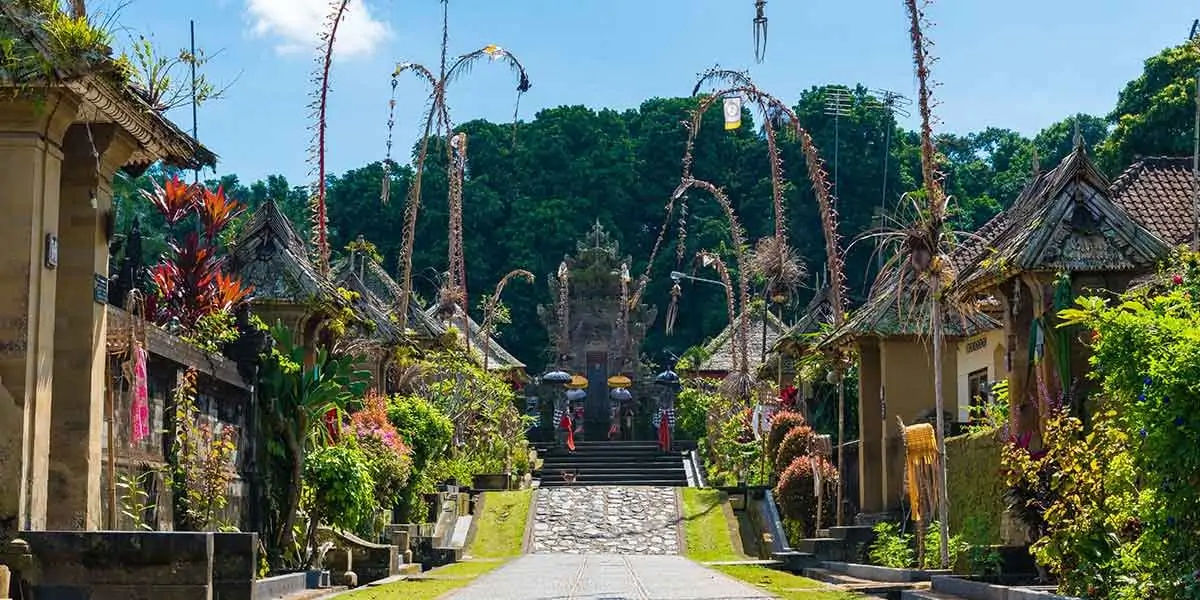 bali, amazon, seas, corals, sealife, biodiversity