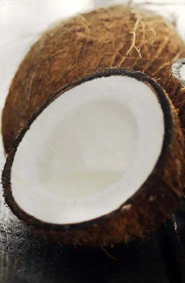 A Coconut 
