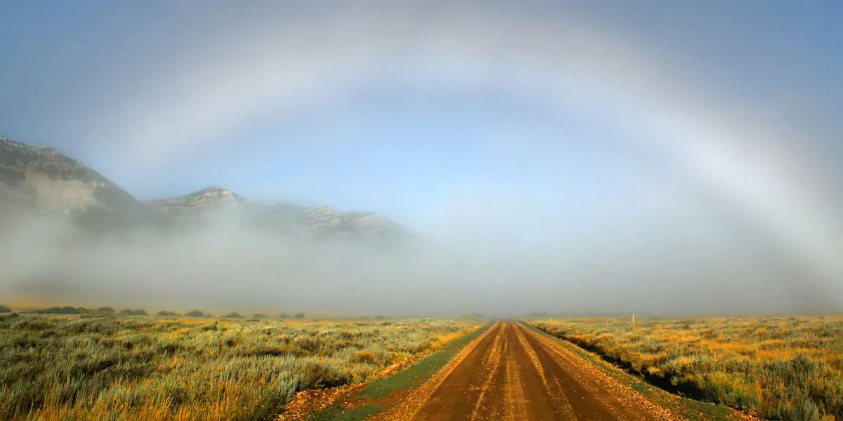 fog bow