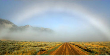 fog bow