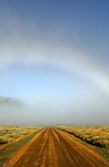 fog bow