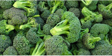 Broccoli, Brassica, oleracea, greens, kale, kohlrabi, cauliflower