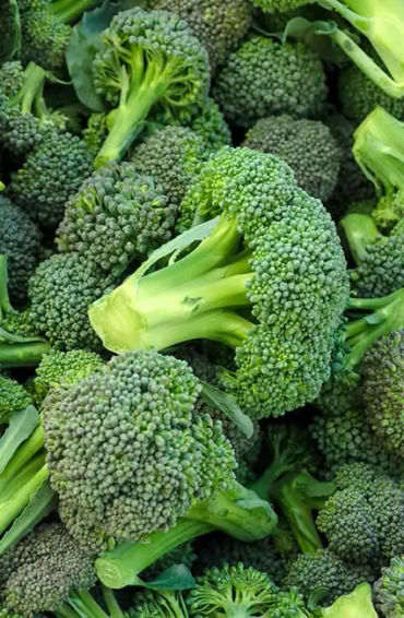 Broccoli, Brassica, oleracea, greens, kale, kohlrabi, cauliflower