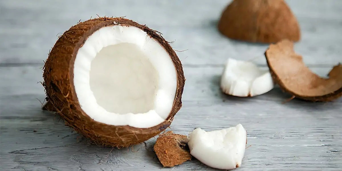 coconut