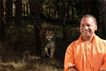 The first tiger reserve to be built in Bundelkhand, Yogi government approved