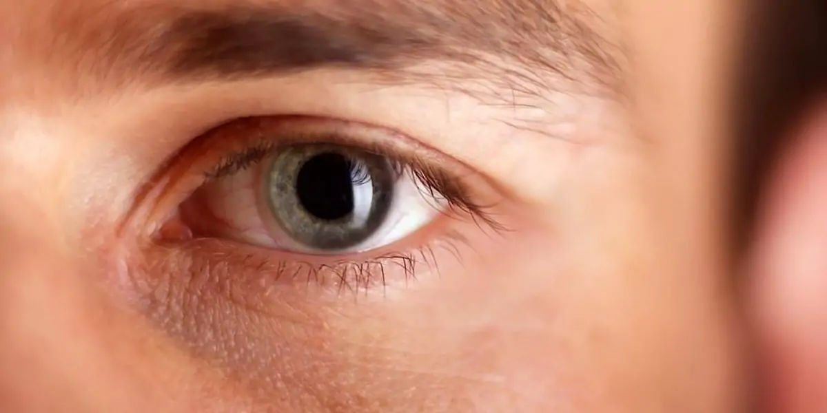  hypnotized 