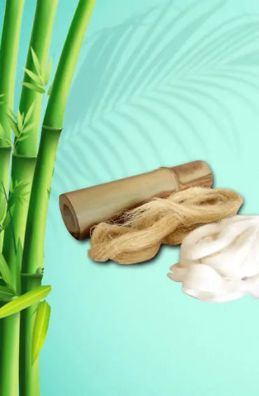 bamboo