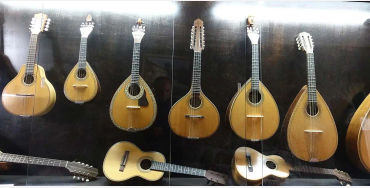 Stringed Musical