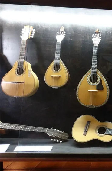 Stringed Musical
