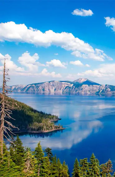 laotian, rice, lotion, flexible, country, national