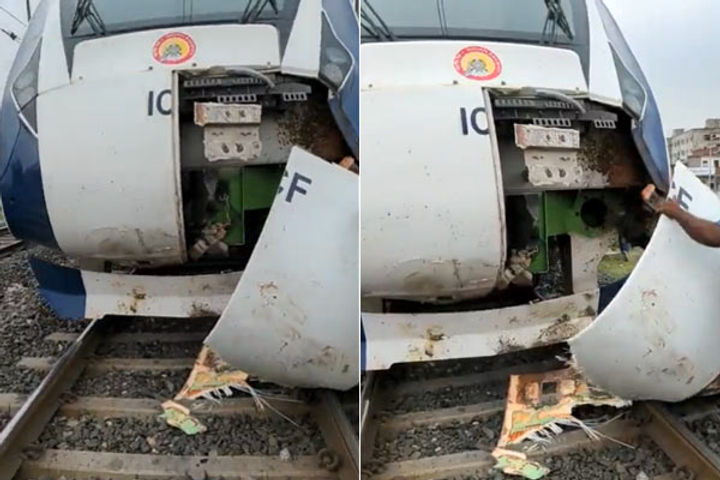 fir registered against owner after buffalo collided with vande bharat train