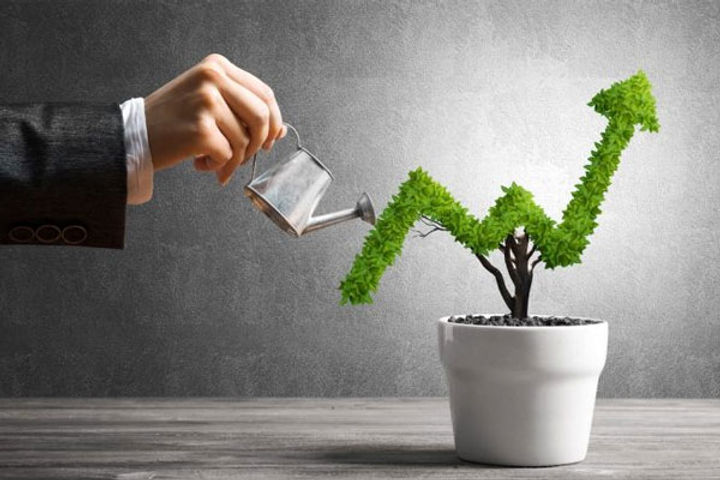 investment in the manufacturing sector has increased and services sector has fallen