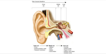sound waves