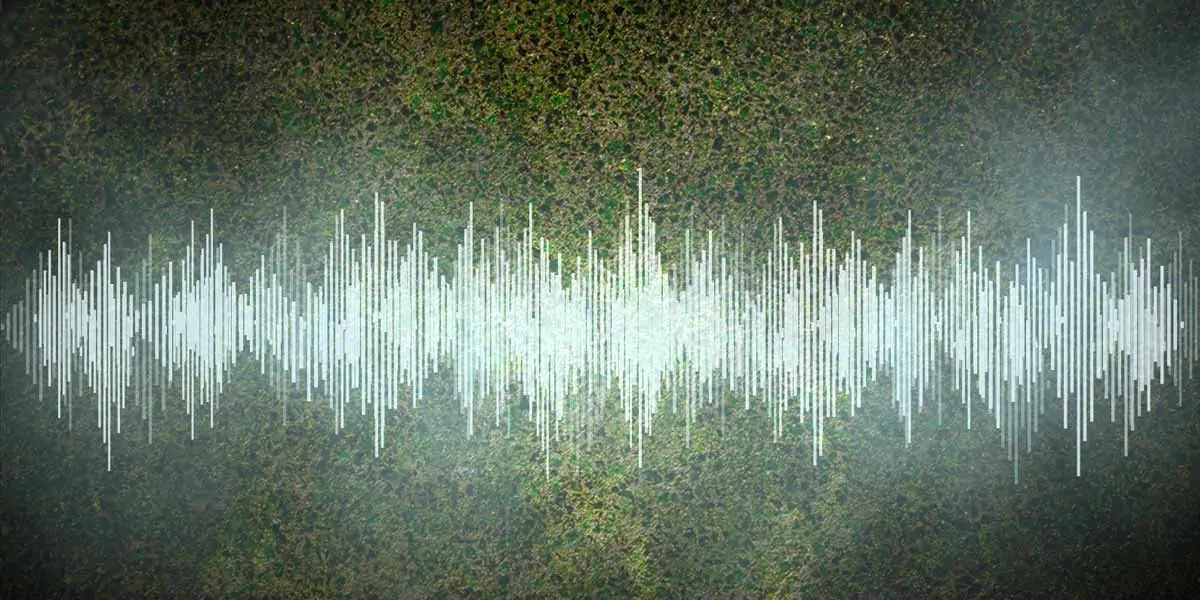 Sound Waves