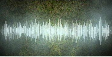 Sound Waves