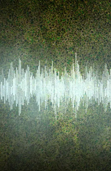 Sound Waves