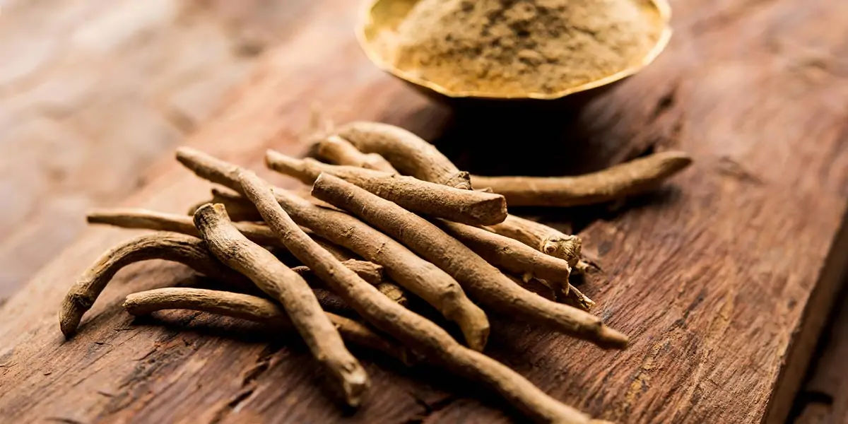 ashwagandha, herb, withaferins, withanolide glycosides, saponins, alkaloids,  acylsteril glycosides
