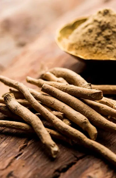 ashwagandha, herb, withaferins, withanolide glycosides, saponins, alkaloids,  acylsteril glycosides