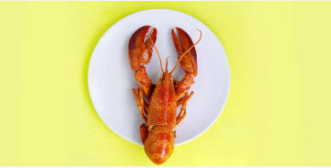 Lobsters 